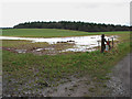 Waterlogged farmland near Queen