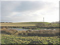 Pond at Porthdinllaen Farm