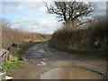 Track to the River Severn