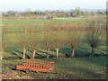 Willows and Rhynes at Westhay