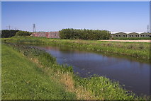 TL3996 : River Nene (old course) at March by dennis smith