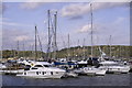 Chatham Marina