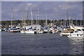 Chatham Marina