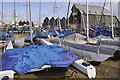 Yachts at Whitstable Harbour