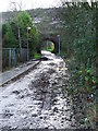 Branchton railway arch