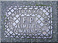 Cast Iron Grid Cover, Canadian Avenue, Hoole, Chester