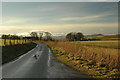 Country road near Cross of Jackston