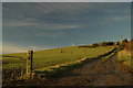 Farm track to Crannabog