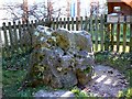 The Blowing Stone, Kingston Lisle