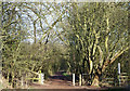 South Staffordshire Railway Walk, Lower Penn