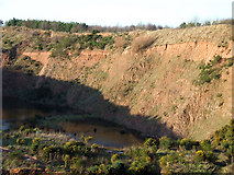 SO8392 : Sand Quarry near Halfpenny Green, Staffordshire by Roger  D Kidd
