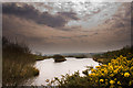 Haycroft trout lake, Hole Farm