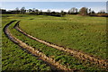 Field below the Park, Painswick