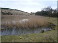 SK4662 : Silverhill Wood Country Park Pond by Alan Heardman