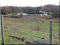 Black Lake, one of the Cottington fishing lakes