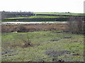 Alder Lake from Fowlmead Park