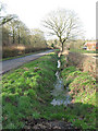 Roadside ditch at Shaw Common