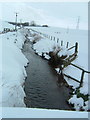 View along the burn towards Tifty