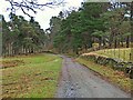 Estate Track, near to Aberuchill