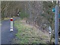 Path at  St. Vigeans, Angus