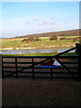 Across the River to Friston Forest