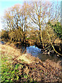 River Stour & Hoo Brook