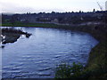 River Tweed at Coldstream