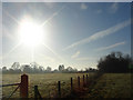 Winter sunshine with vapour trails