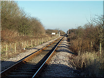 TA0322 : The Railway towards Barrow Haven by David Wright