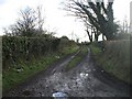 Mucky lane, Maghaberry