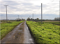 TL4885 : Straight Drove, Coveney Byall Fen, Cambs by Rodney Burton