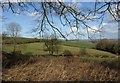 Fields at Christmas Close