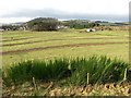 Proposed housing site at Easter Langlee, Galashiels