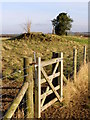 Long barrow, north of Martin