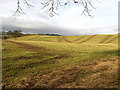 Proposed housing site at Easter Langlee