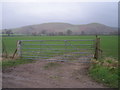 Gate to sown field