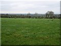 Rawes Townland