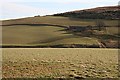 Hillend from near Bomakelloch