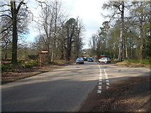 SK6275 : Clumber Park - Road to Hardwick Village by Alan Heardman
