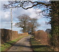 Lane from Coddenham towards Gosbeck