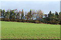 Farmland near Brockton, Shropshire