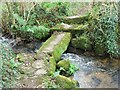 Bridge on the boundary