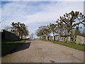 Driveway from Notgrove Manor and church