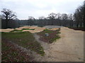 Ringwood Park - Skateboard Track