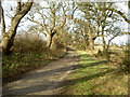 Landican Lane Bridleway