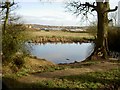 Pond by the side of Landican Lane