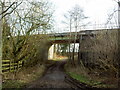 Railway Bridge over Landican Lane.