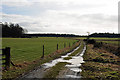 Farm Track near Baldarroch Farm