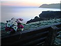 SX9057 : Clifftop path near Elberry Cove -Posy on Memorial Bench by Tom Jolliffe