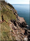 SX9266 : Bathing platform and cliff, Little Oddicombe Beach by Derek Harper
